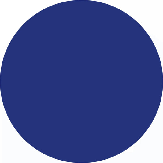 Solid blue circle.