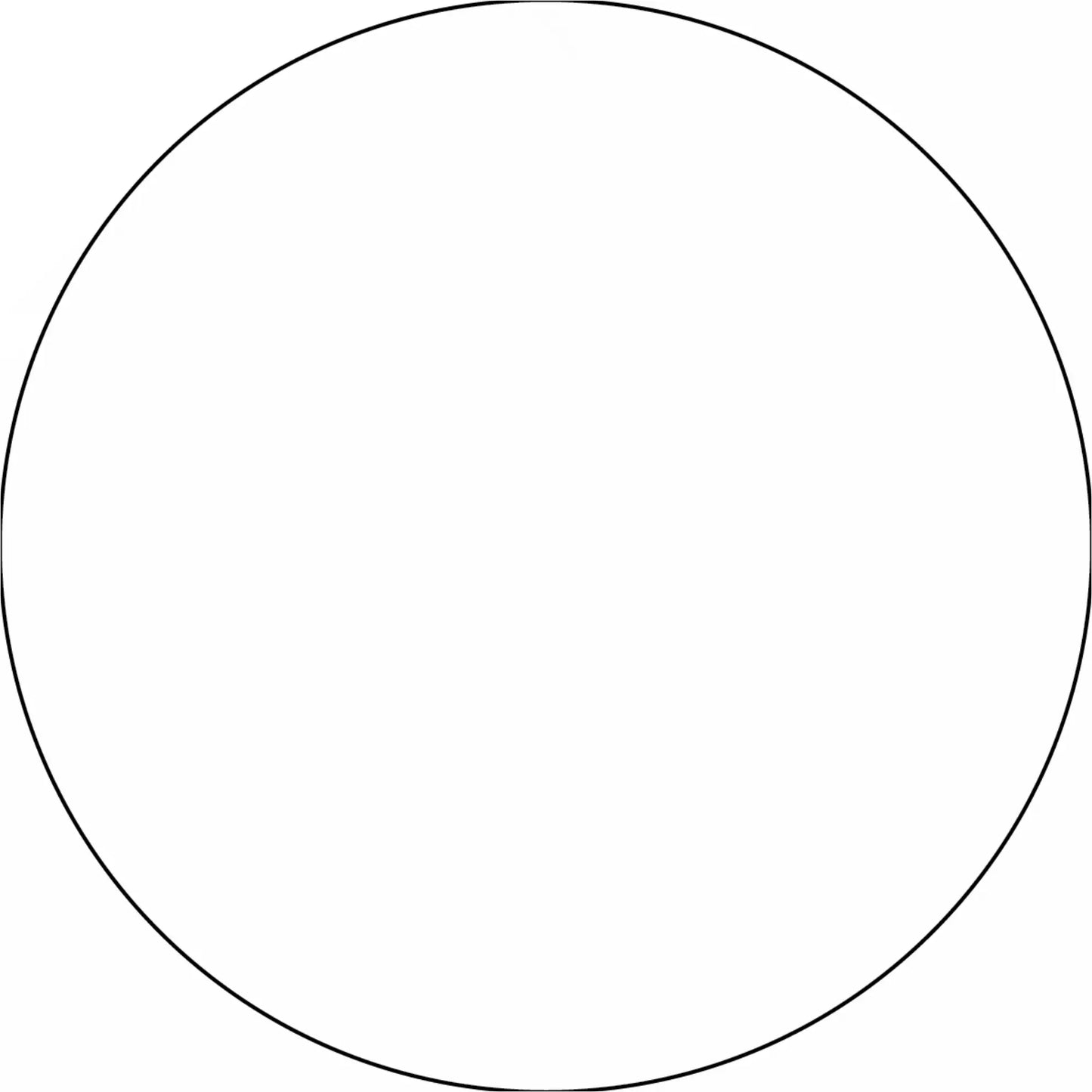 Perfect circle with a thin black outline.
