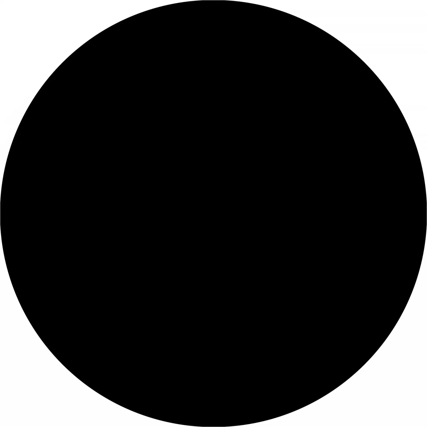 Perfect black circle.