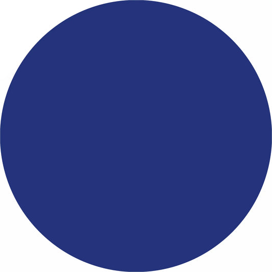 Solid blue circle.