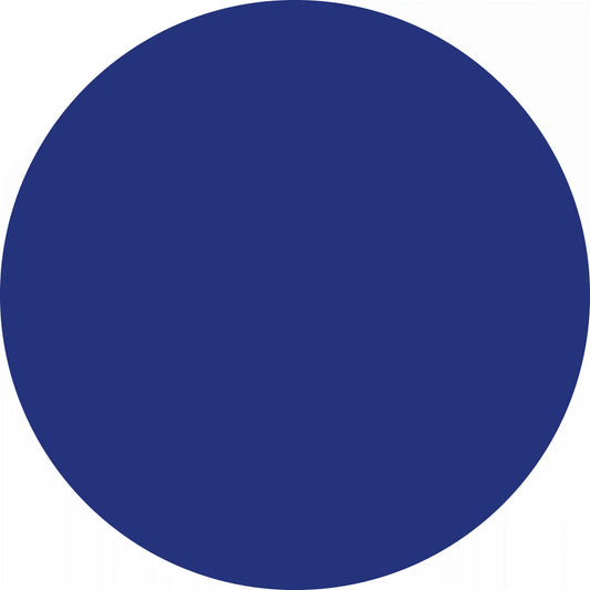 Solid blue circle.