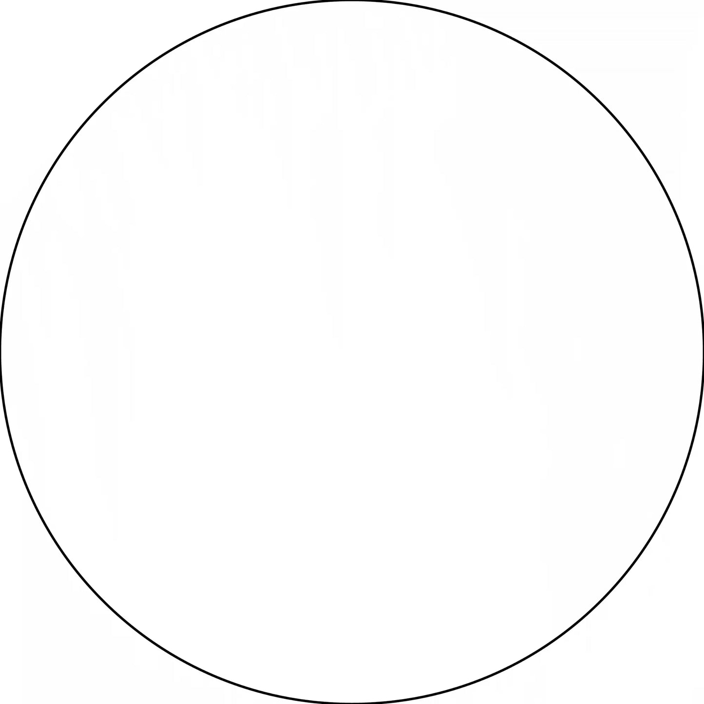 Perfect circle with a thin black outline.