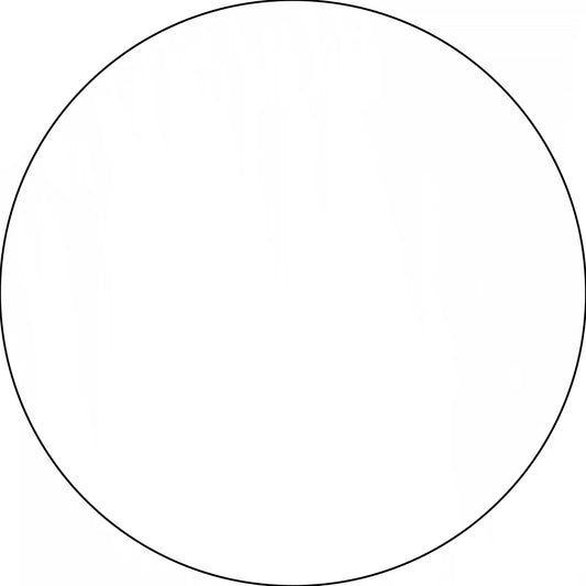 Perfect circle with a thin black outline.