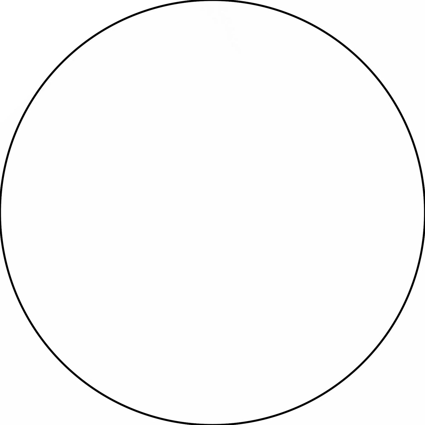 Perfect circle with a thin black outline.