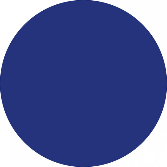 Solid blue circle.