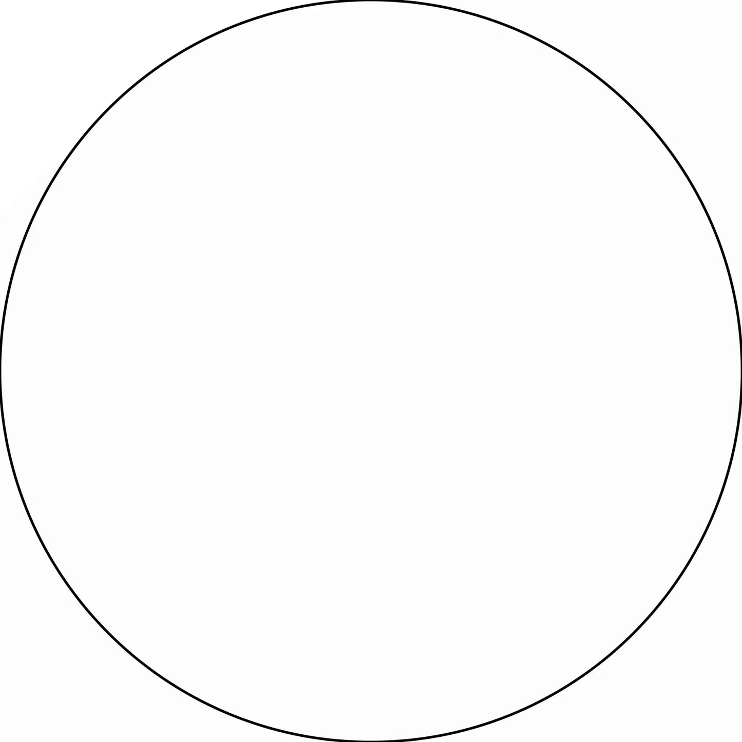 Perfect circle with a thin black outline.