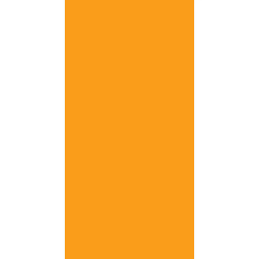 Solid orange rectangle