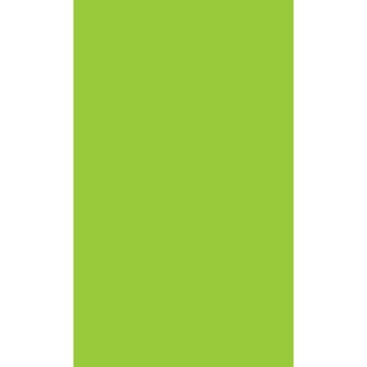 CCR300FG fluor green rectangle