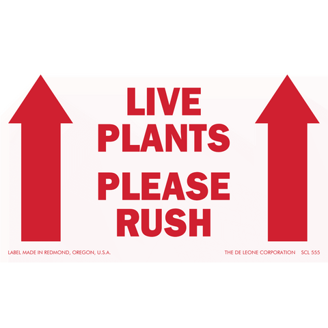 SCL555 LIVE PLANTS - PLEASE RUSH