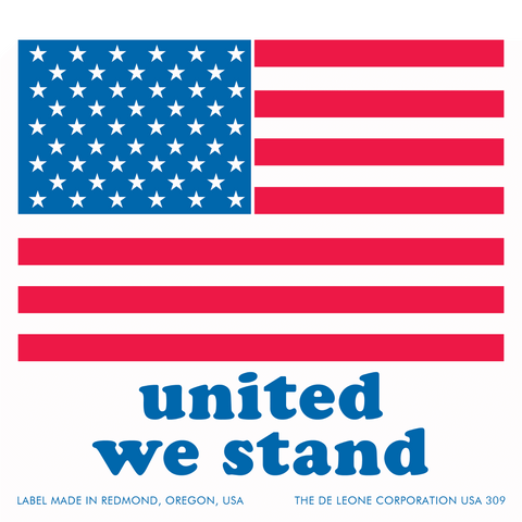 USA309 united we stand