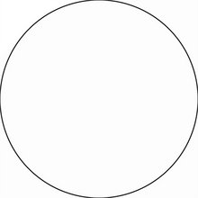 Perfect circle with a thin black outline.