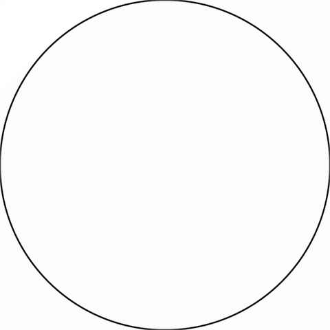 Perfect circle with a thin black outline.