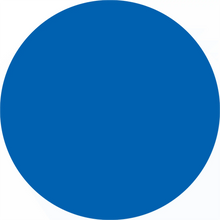 Solid blue circle.