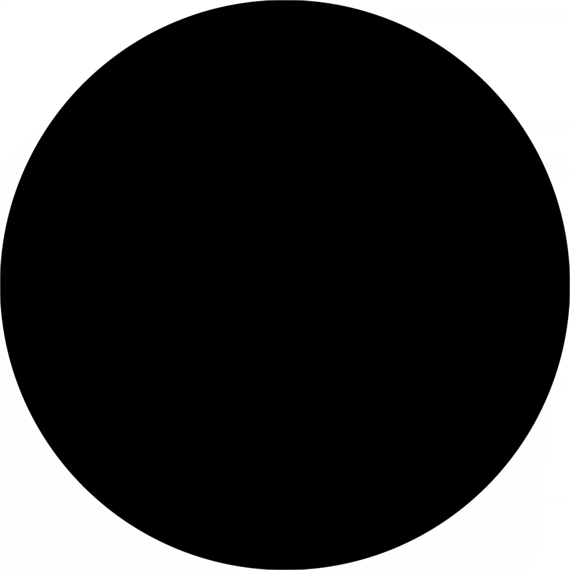 Perfect black circle.