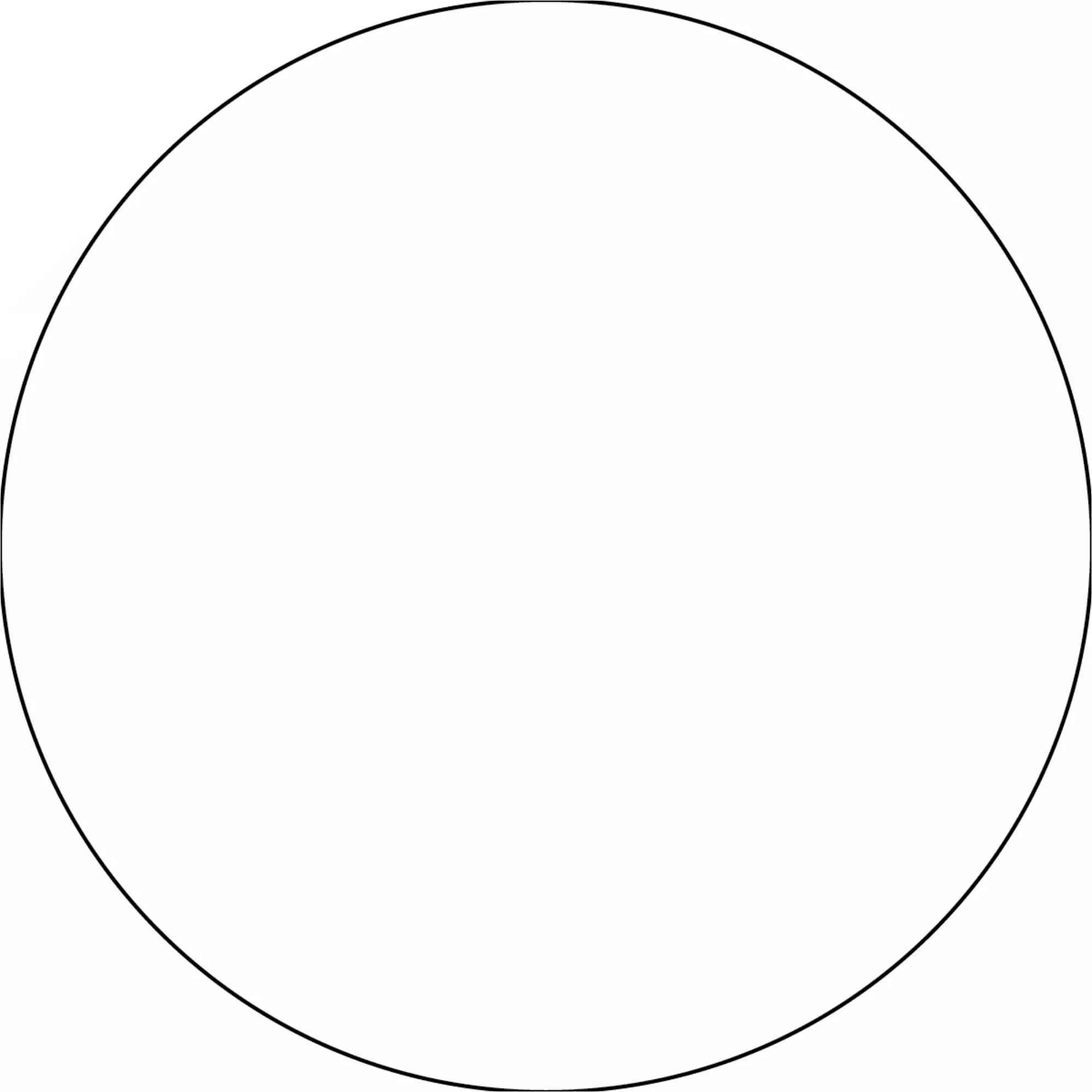 Perfect circle with a thin black outline.