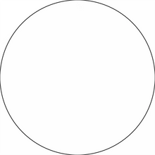 Perfect circle with a thin black outline.