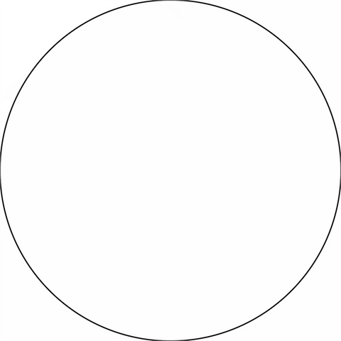 Perfect circle with a thin black outline.