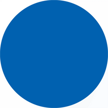 Solid blue circle.