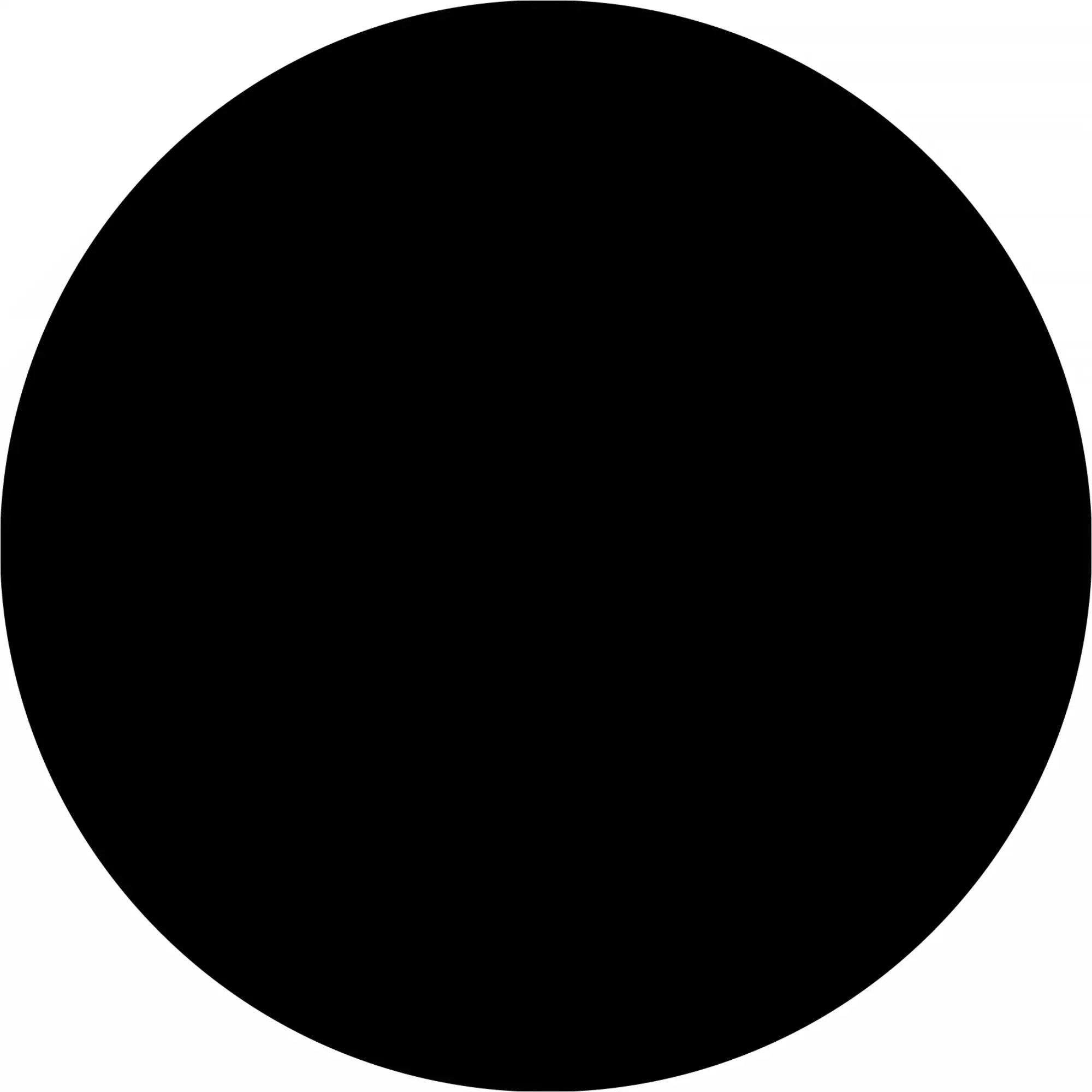 Perfect black circle.