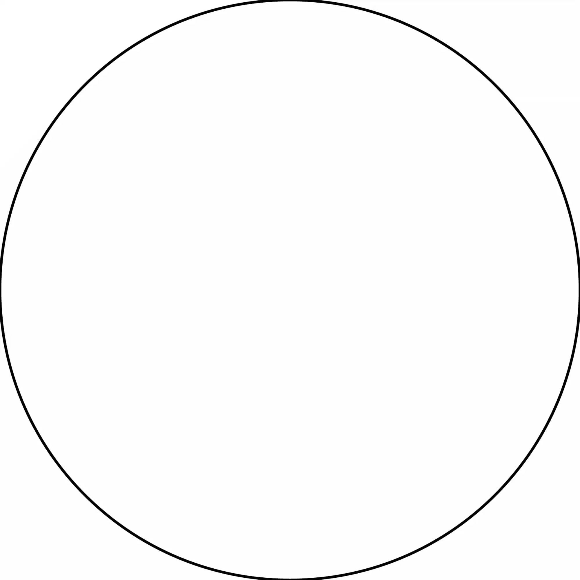 Perfect circle with a thin black outline.