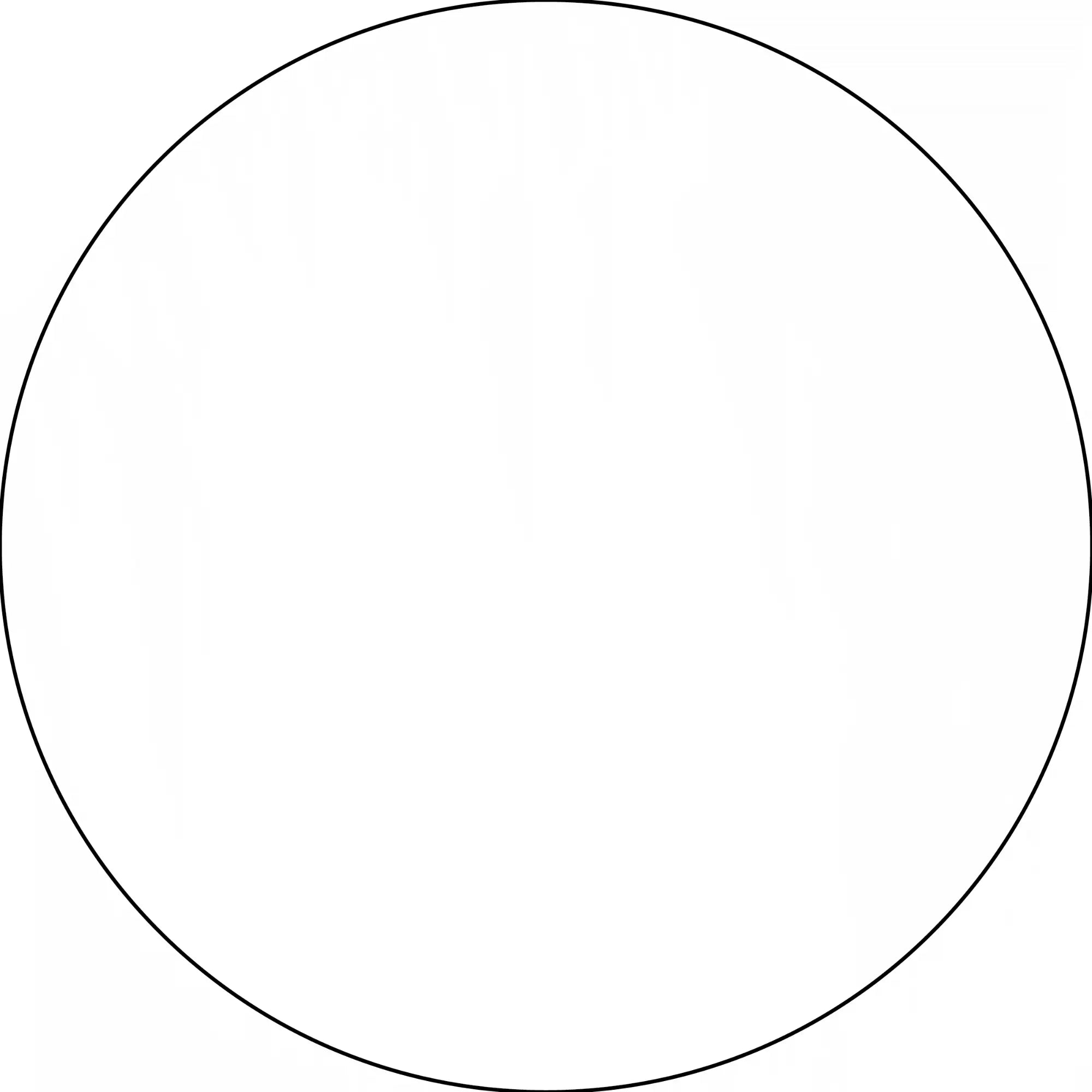 Perfect circle with a thin black outline.