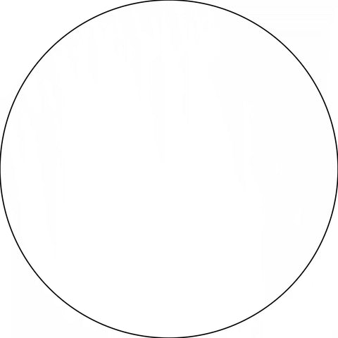 Perfect circle with a thin black outline.