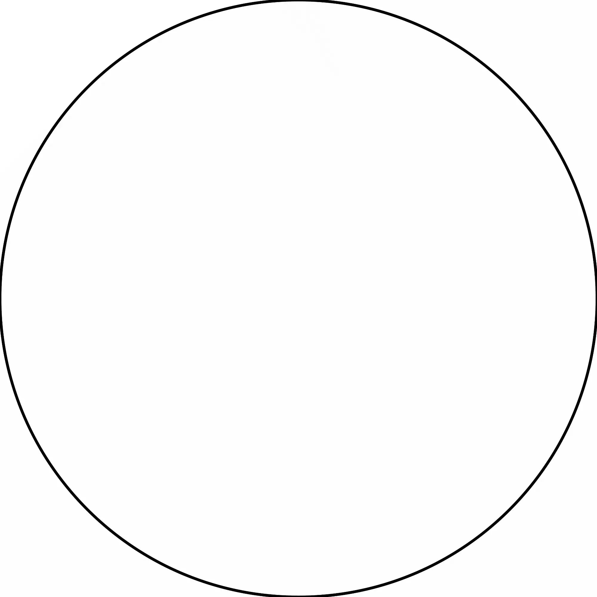 Perfect circle with a thin black outline.