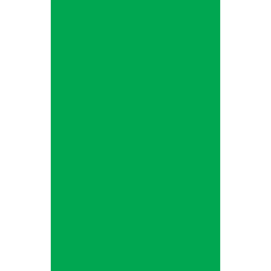 Solid green rectangle