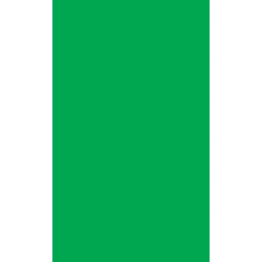 Solid green rectangle.