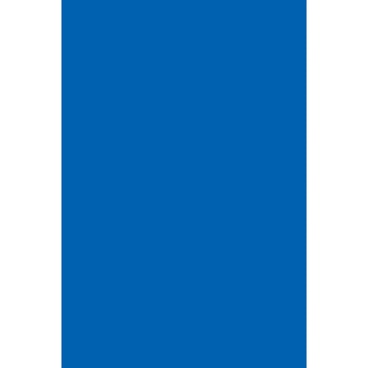 Solid blue rectangle.