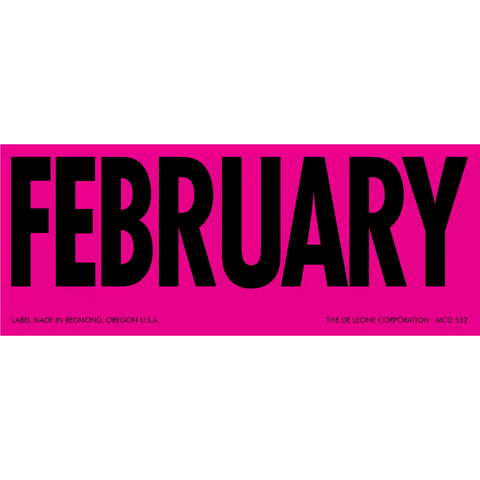Bold black text spelling ’FEBRUARY’ on a bright pink background.