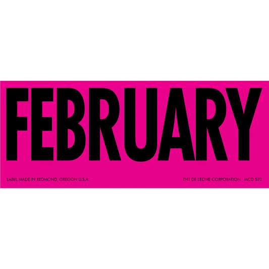 Bold black text spelling ’FEBRUARY’ on a bright pink background.