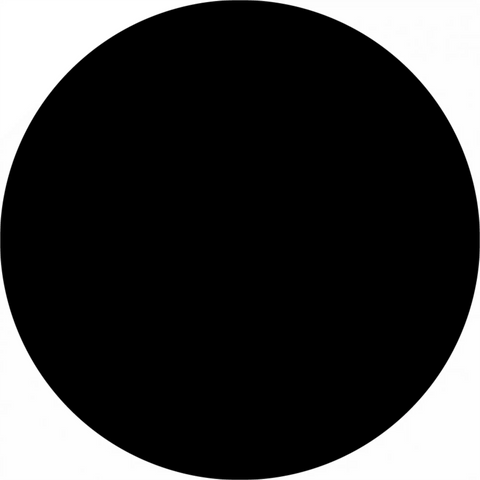 Perfect black circle.